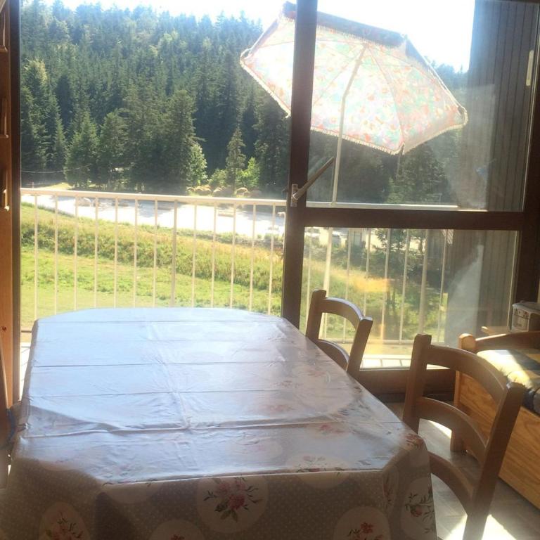 Studio cabine 33m² pieds des pistes, Animaux admis, Balcon sud - Studio - 1