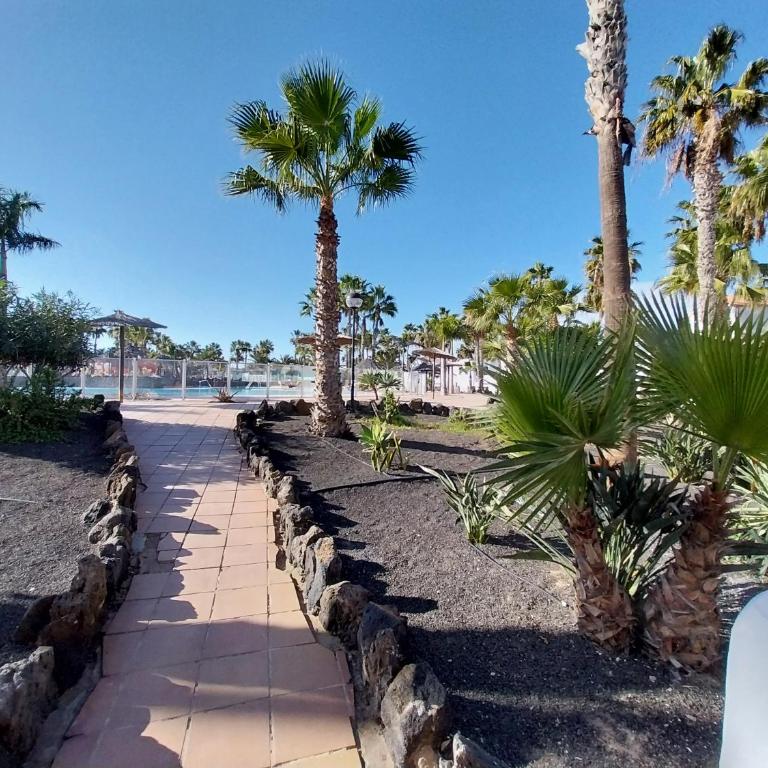 Brightblue Oasis by Sea You There Fuerteventura - Apartamento con vistas al jardín - 28