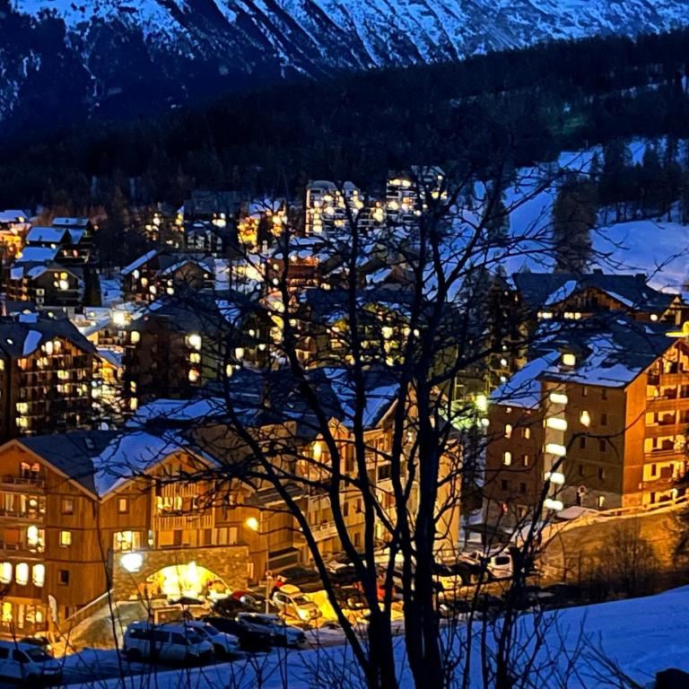 Le Perce-Neige Centre Station - Appartement 2 Chambres - 29