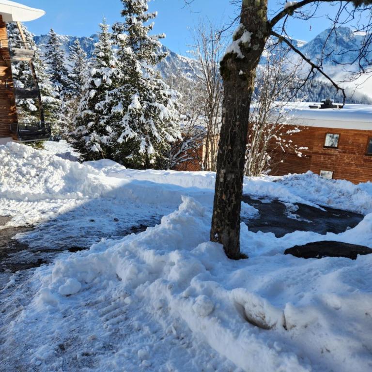Appartement cosy Les Mélèze E - Appartamento con 2 Camere da Letto - 6
