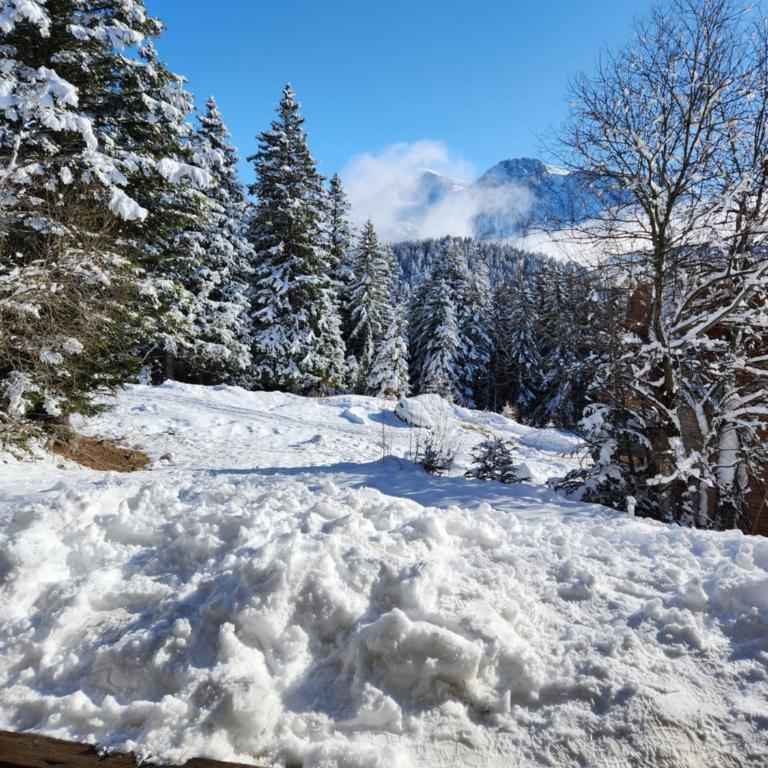 Appartement cosy Les Mélèze E - Appartamento con 2 Camere da Letto - 10