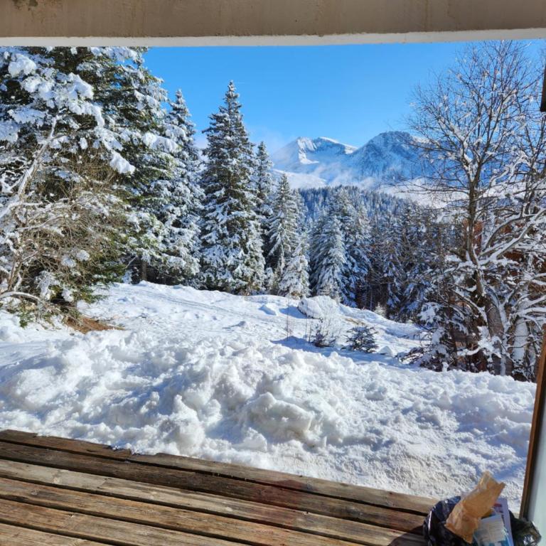 Appartement cosy Les Mélèze E - Appartamento con 2 Camere da Letto - 16