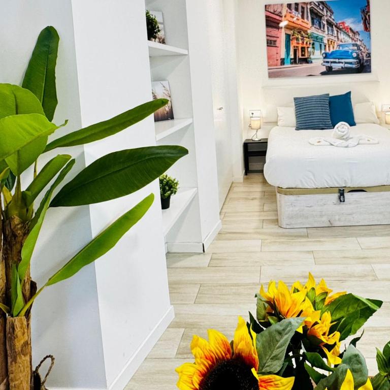 Oshun Plaza Castilla - Standard Studio - 20