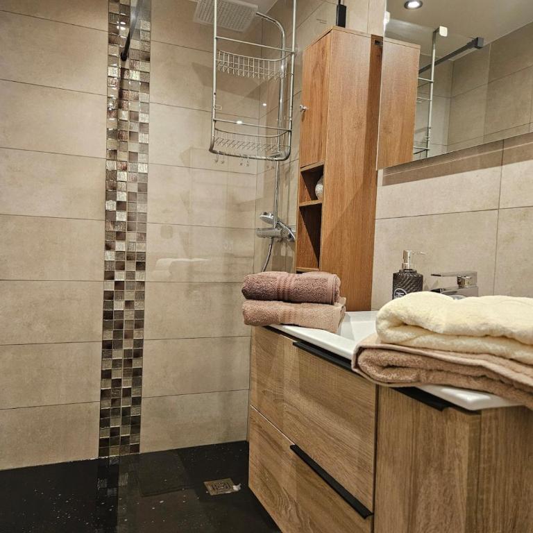 Apartment in Saint-Gervais close to gondola - Apartment mit 1 Schlafzimmer - 9