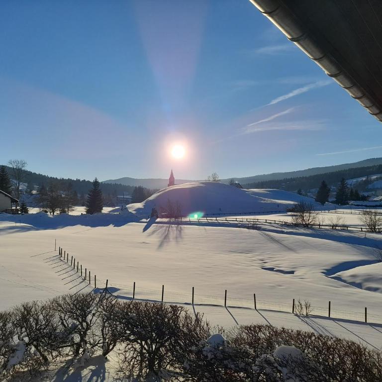 Duplex 59m2 - proche centre - balcon plein sud - Appartement 2 Chambres - 15