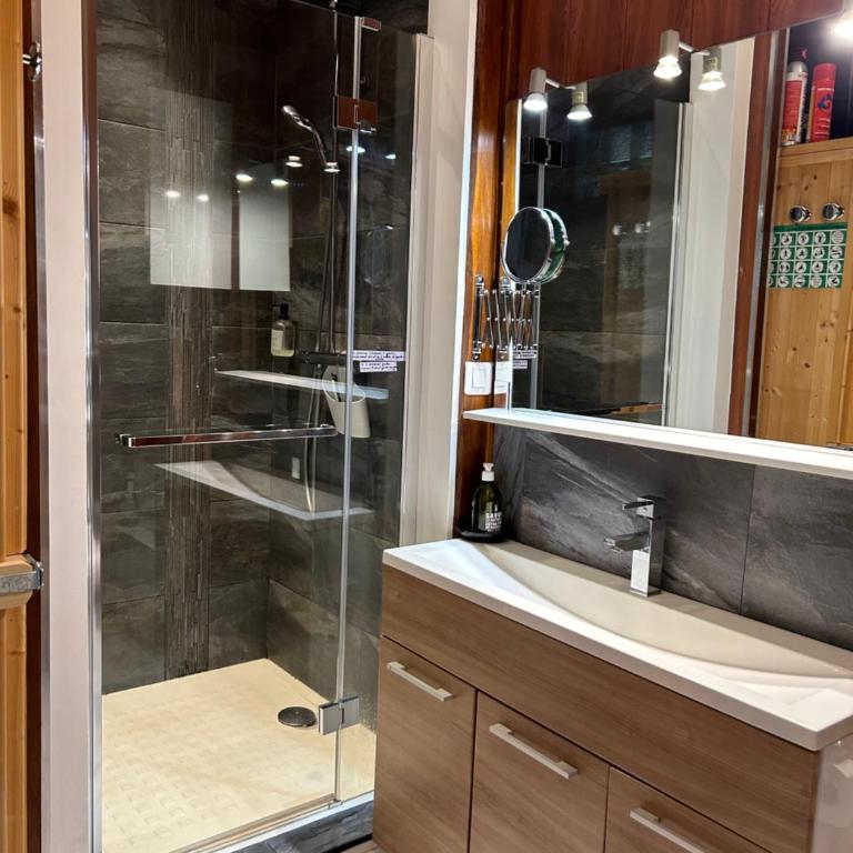 Cosy T2 au Mont Dore Sauna privé et vue montagne proche thermes - Apartment mit Sauna - 7