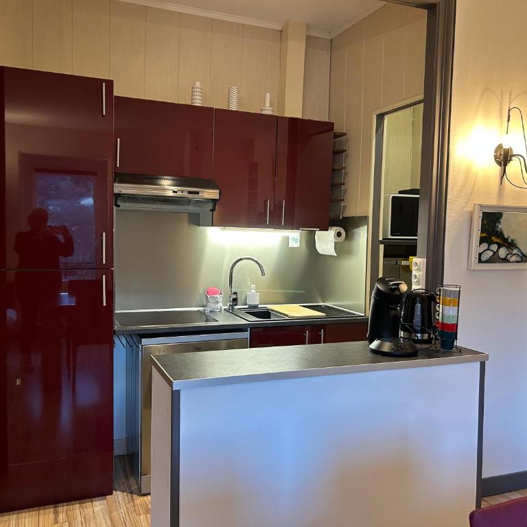Cosy T2 au Mont Dore Sauna privé et vue montagne proche thermes - Apartment mit Sauna - 5