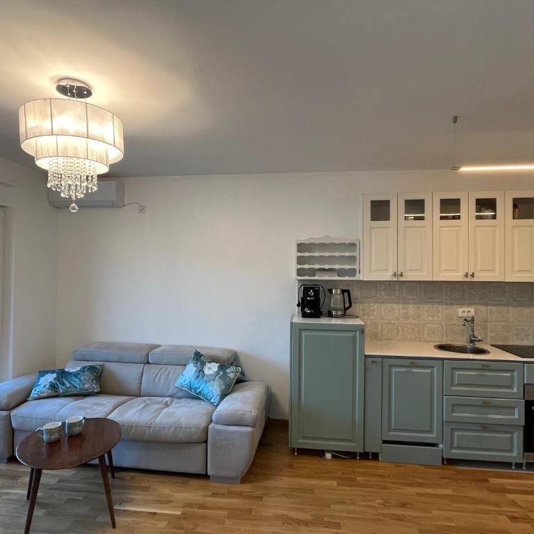 Eden Apartman Vrnjačka Banja - Apartman sa 1 Spavaćom Sobom, Balkonom i Pogledom na Grad - 3