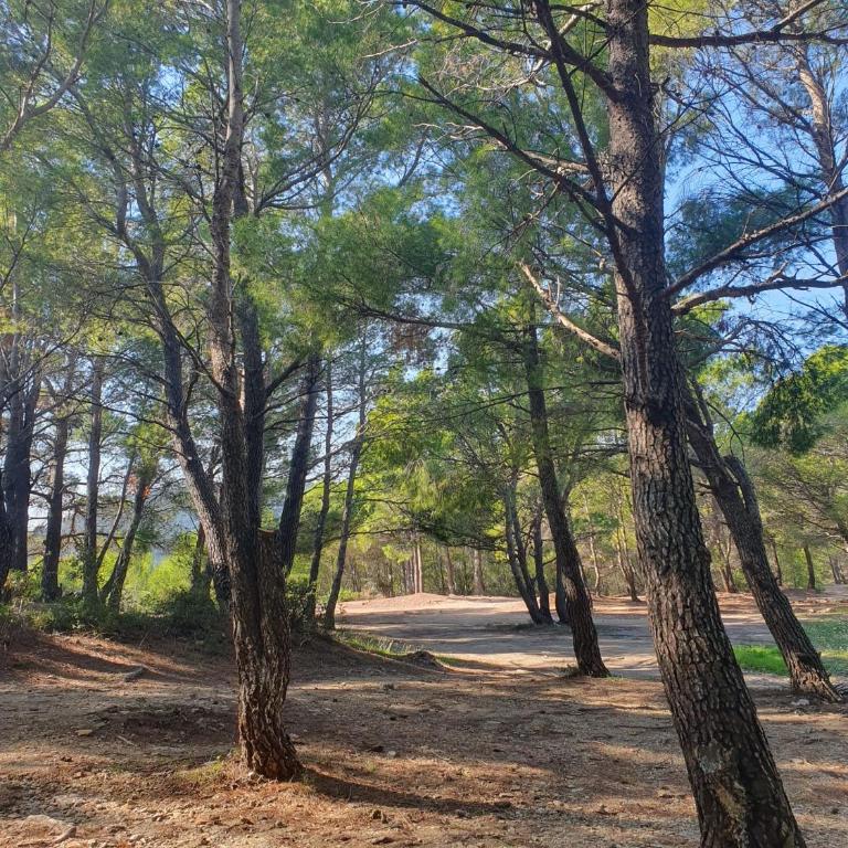 Traumhafte Wohnung mit Meerblick in Sutomore - Apartman sa 1 Spavaćom Sobom - 10