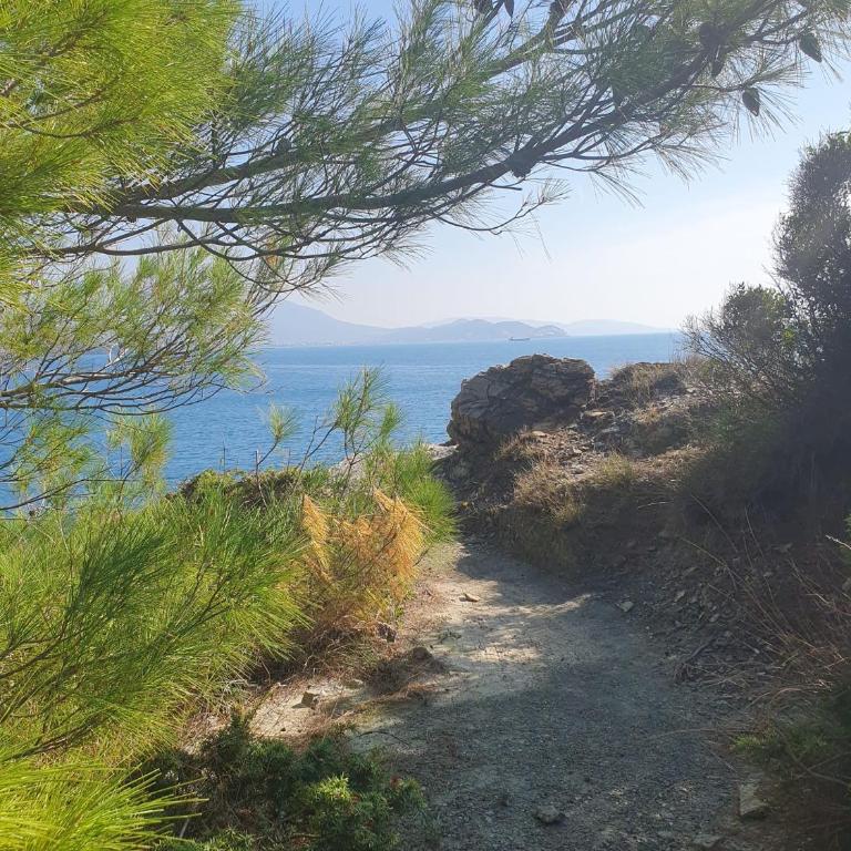 Traumhafte Wohnung mit Meerblick in Sutomore - Apartman sa 1 Spavaćom Sobom - 12