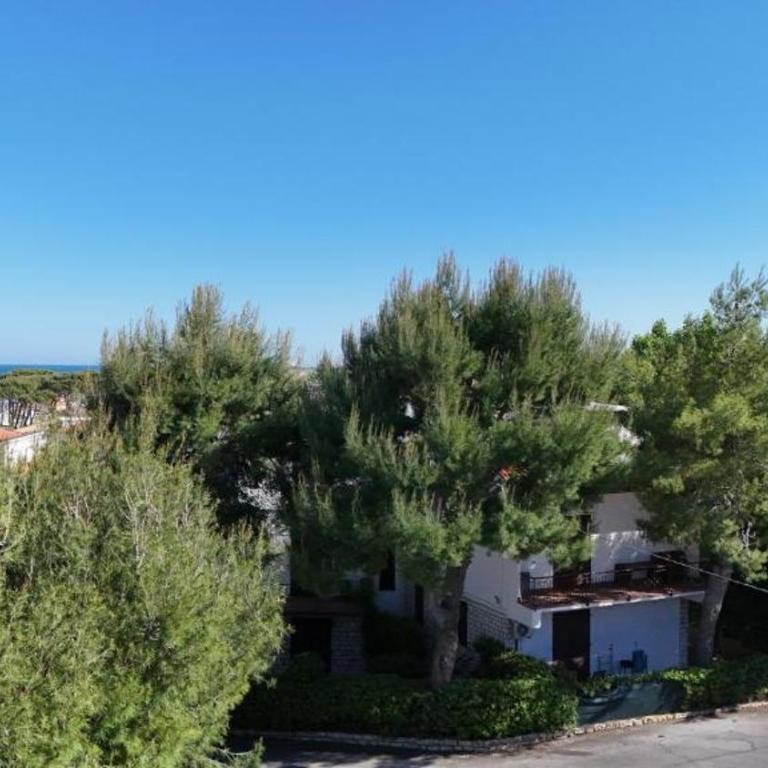 M080 - Marcelli, residence Mare Verde trilo con giardino - Appartamento con 2 Camere da Letto - 8