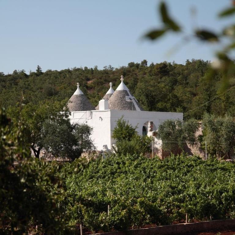 Tipici Trulli immersi nella Valle D'Itria - Casa con 2 Camere da Letto - 1
