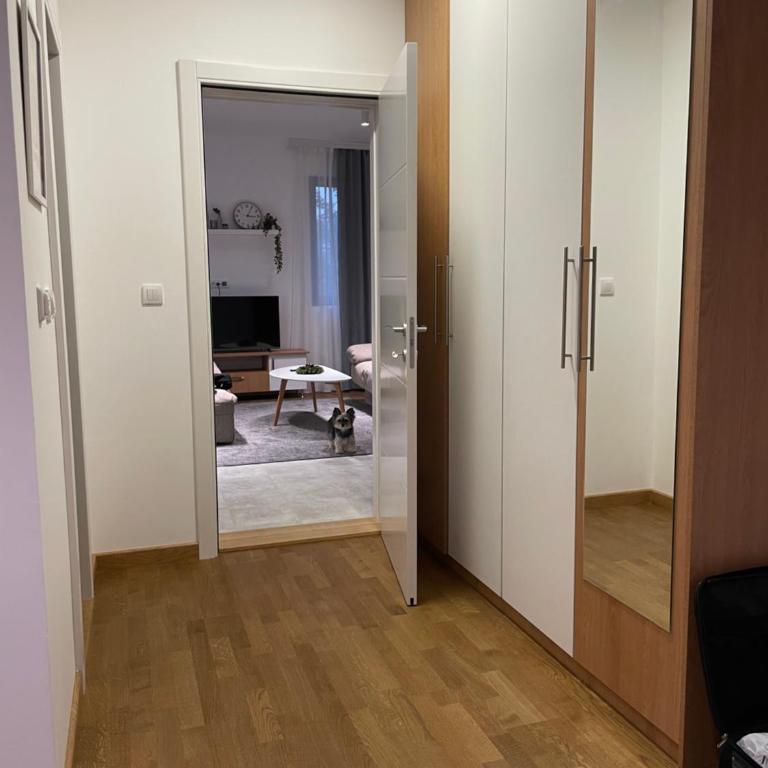 Villa Evergreen - Apartman sa 1 Spavaćom Sobom - 10