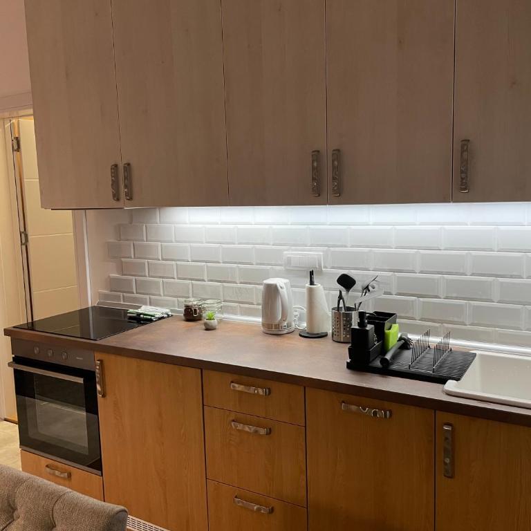 Villa Evergreen - Apartman sa 1 Spavaćom Sobom - 16