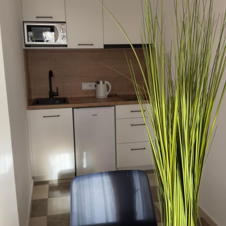 GreenHouse - Apartman sa 1 Spavaćom Sobom - 14