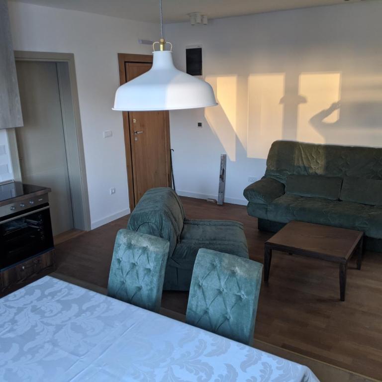 Villa Evergreen - Apartman sa 1 Spavaćom Sobom - 9