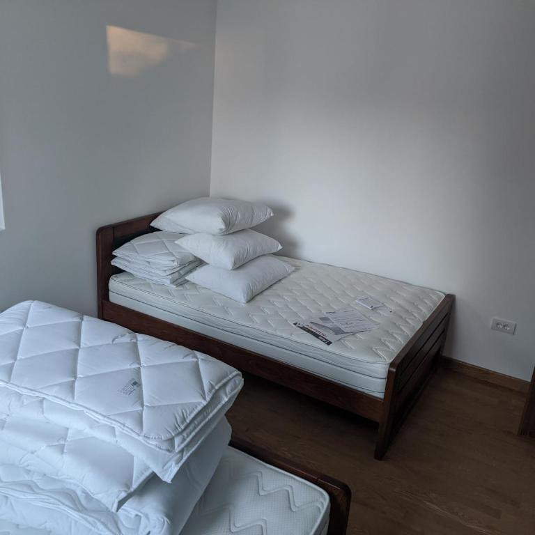Villa Evergreen - Apartman sa 1 Spavaćom Sobom - 6