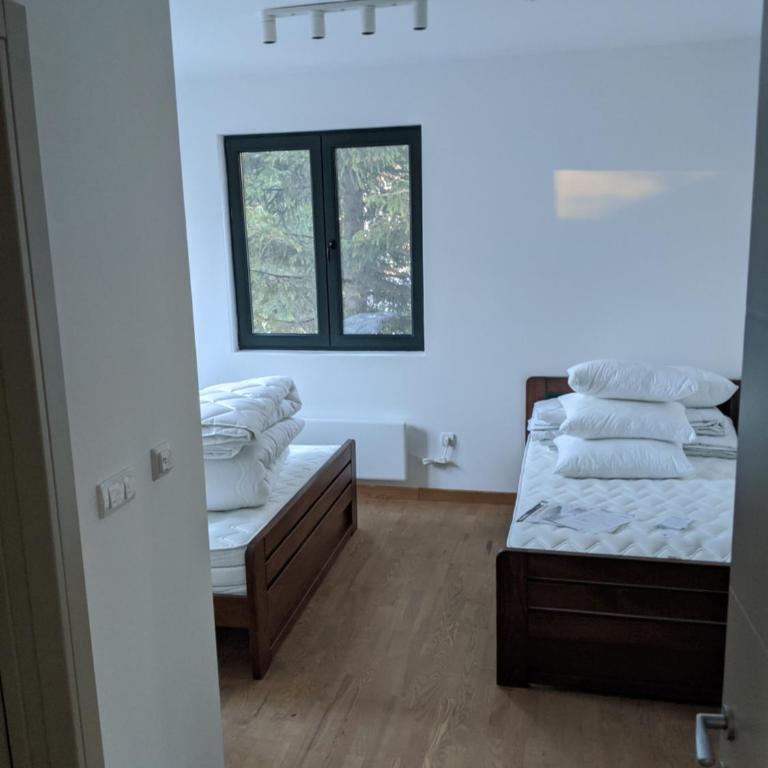 Villa Evergreen - Apartman sa 1 Spavaćom Sobom - 10