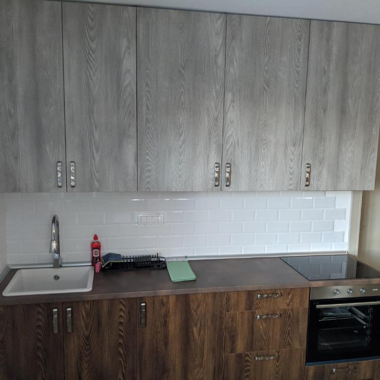 Villa Evergreen - Apartman sa 1 Spavaćom Sobom - 12