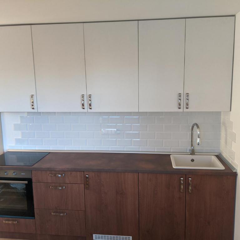 Villa Evergreen - Apartman sa 1 Spavaćom Sobom - 6