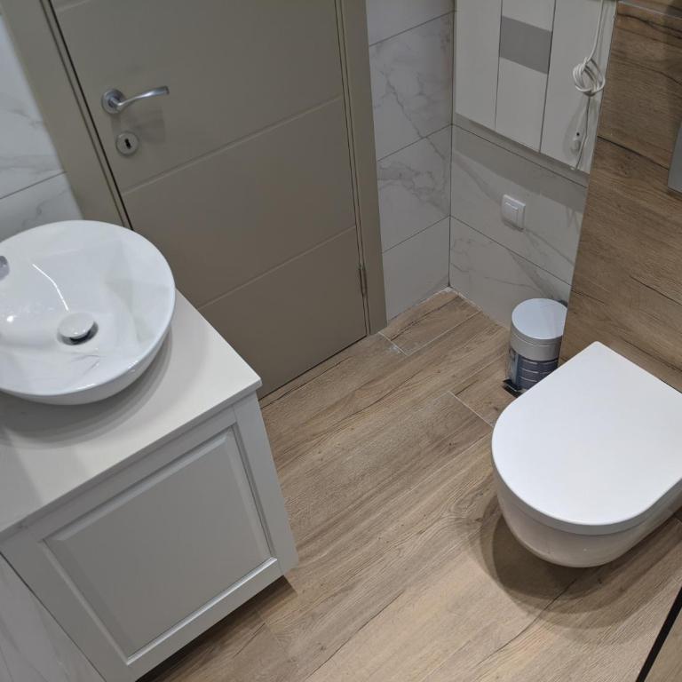 Villa Evergreen - Apartman sa 1 Spavaćom Sobom - 6