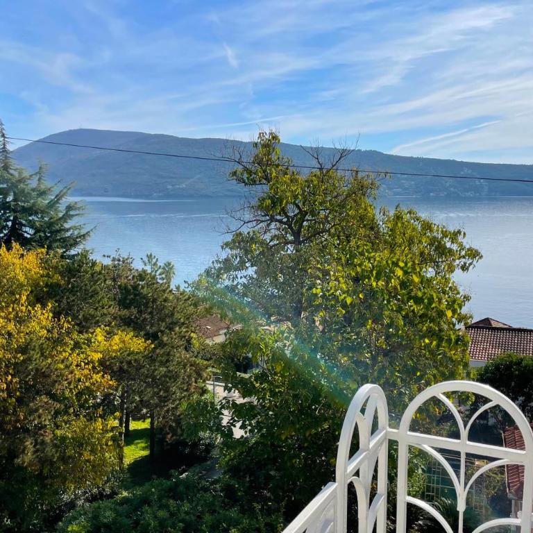 Ancora Hotel - Dvokrevetna Soba sa Bračnim Krevetom i Terasom - 2