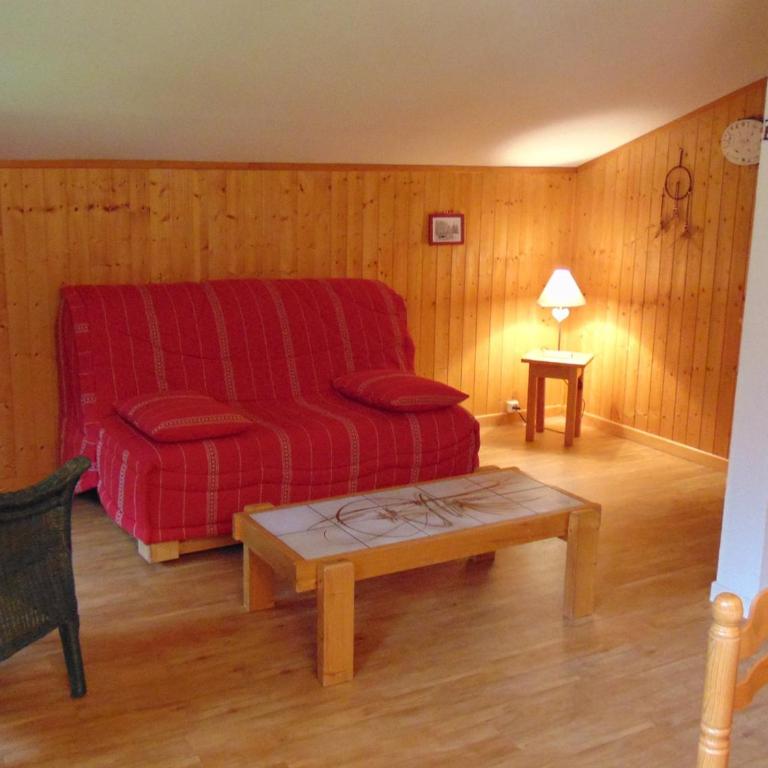Bel appartement rénové à Chamonix avec vue sur le Mont-Blanc, parking et animaux admis - FR-1-517-51 - Studio - 1