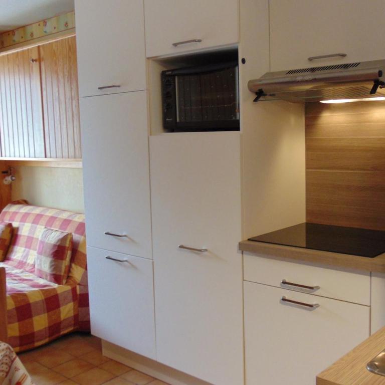 Studio convivial en zone piétonne avec animaux admis, balcon - Chamonix - FR-1-517-23 - Studio - 1