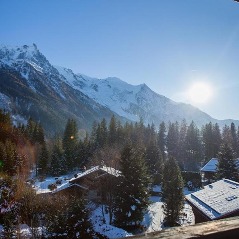 Studio Charmant avec Vue Mont Blanc, Parking et Animaux Admis - FR-1-517-35 - Studio - 8