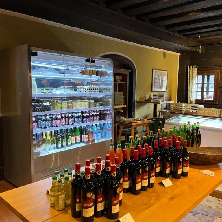 Panorama Retreat Nockblick - Ski, Hike & Relax - Apartment mit 1 Schlafzimmer - 45