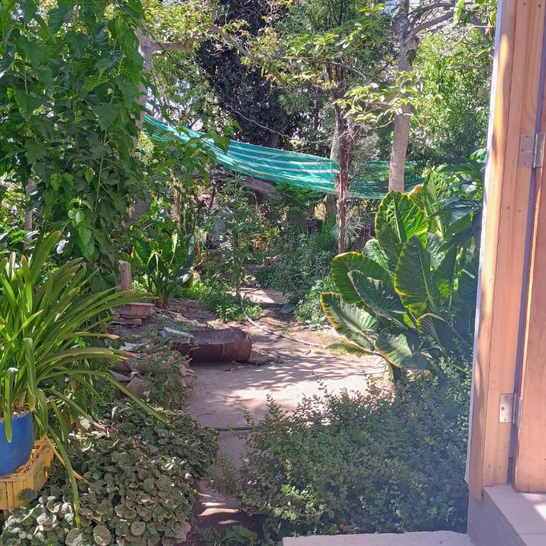 Cabaña Peralillo - Apartamento de 1 dormitorio - 2