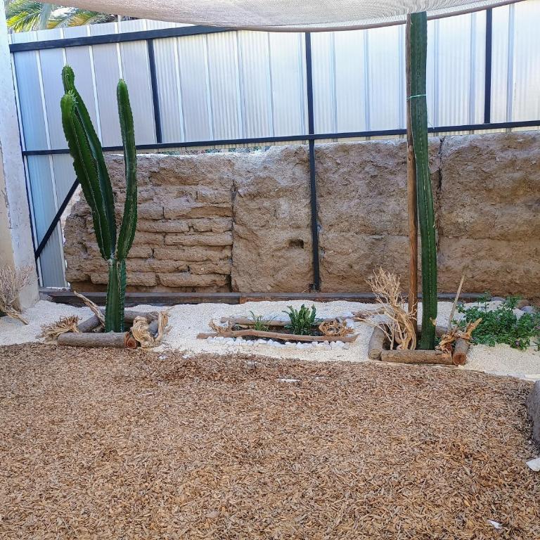 Cabaña Peralillo - One-Bedroom Apartment - 9