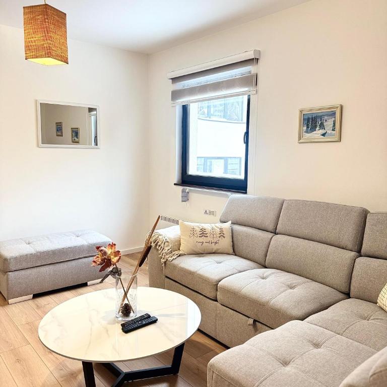 Apartmani Vila Bella Jahorina - One-Bedroom Apartment - 6