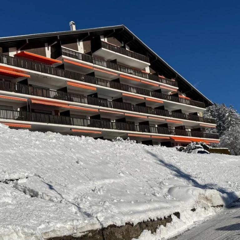Crans Montana spacious 80m2 apartment with stunning view & bus stop outside - Appartement avec Balcon - 23