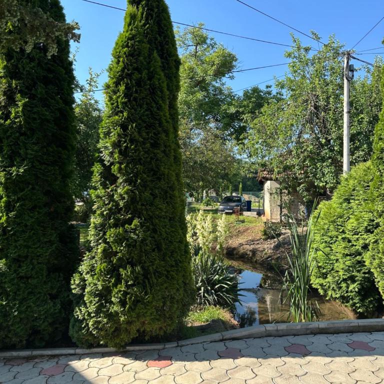 Studio Ivana 3 - Apartman sa 1 Spavaćom Sobom - 11