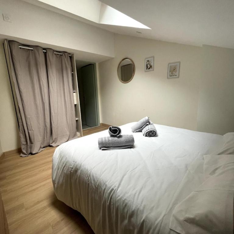 Nancy Green Stan' - Appartement 1 Chambre - 6
