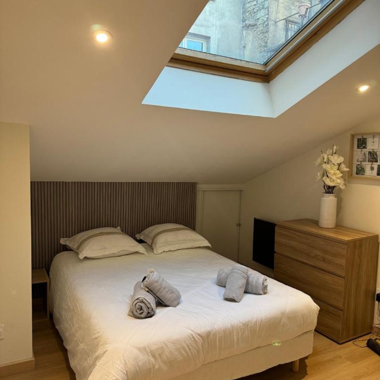 Nancy Green Stan' - Appartement 1 Chambre - 4