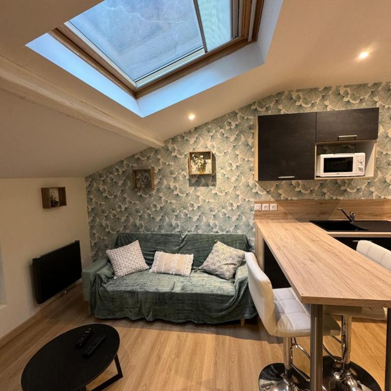 Nancy Green Stan' - Appartement 1 Chambre - 20