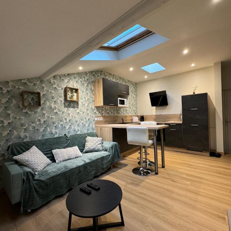 Nancy Green Stan' - Appartement 1 Chambre - 16