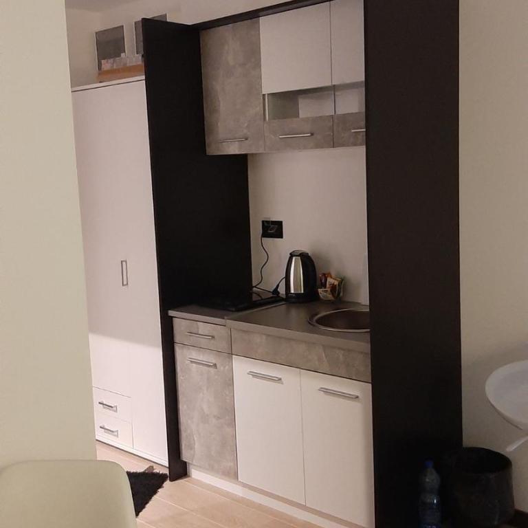 Apartman Milovan - One-Bedroom Apartment - 13