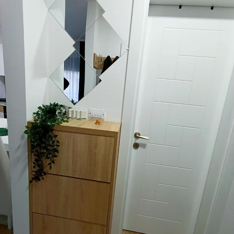 MSapartman, centar - Apartman sa 1 Spavaćom Sobom - 13