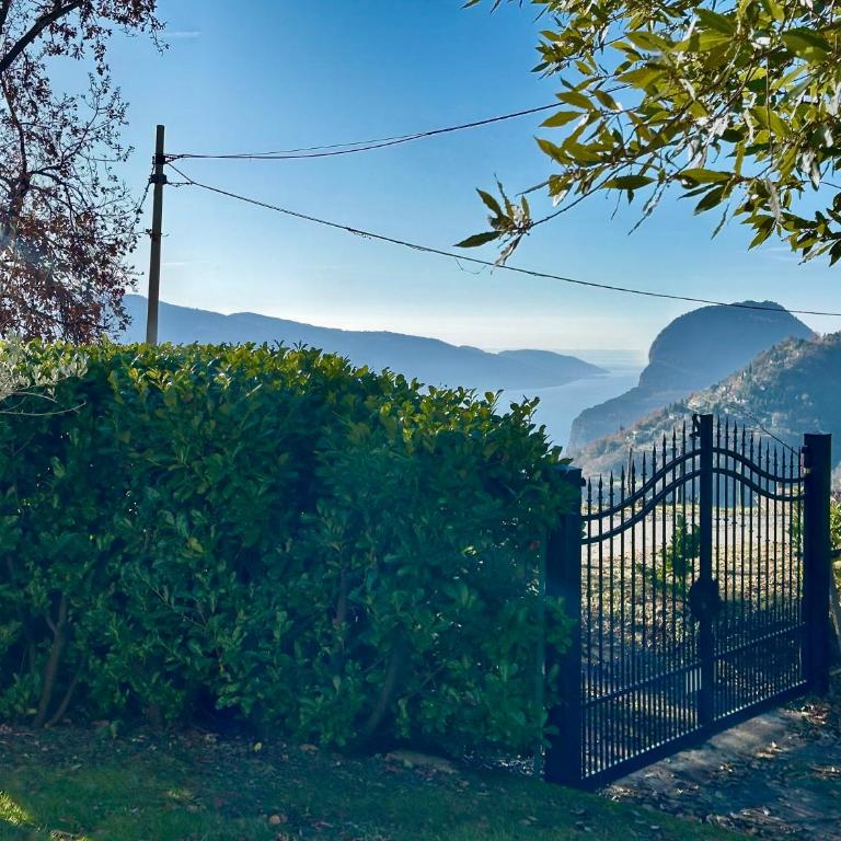 Villa Larici - Villa - 4