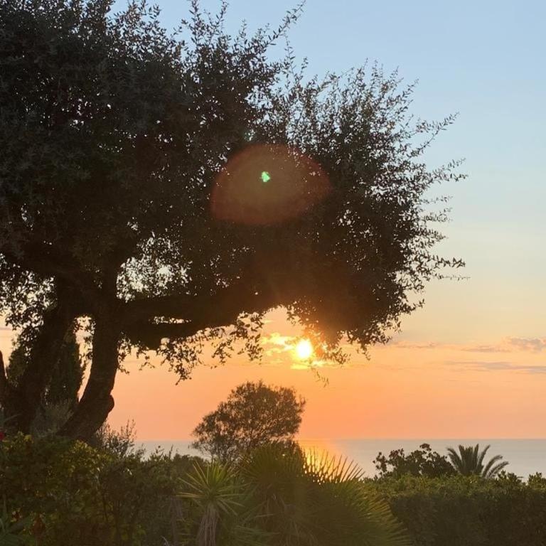 Panoramic sea view house - Villa - Vue sur Mer - 16