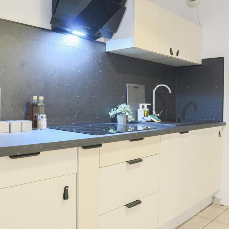 L 'atelier, Fonderie district - Appartamento con 3 Camere da Letto - 53