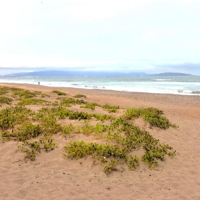 Casa a pasos de la playa en La Serena - Three-Bedroom House - 2