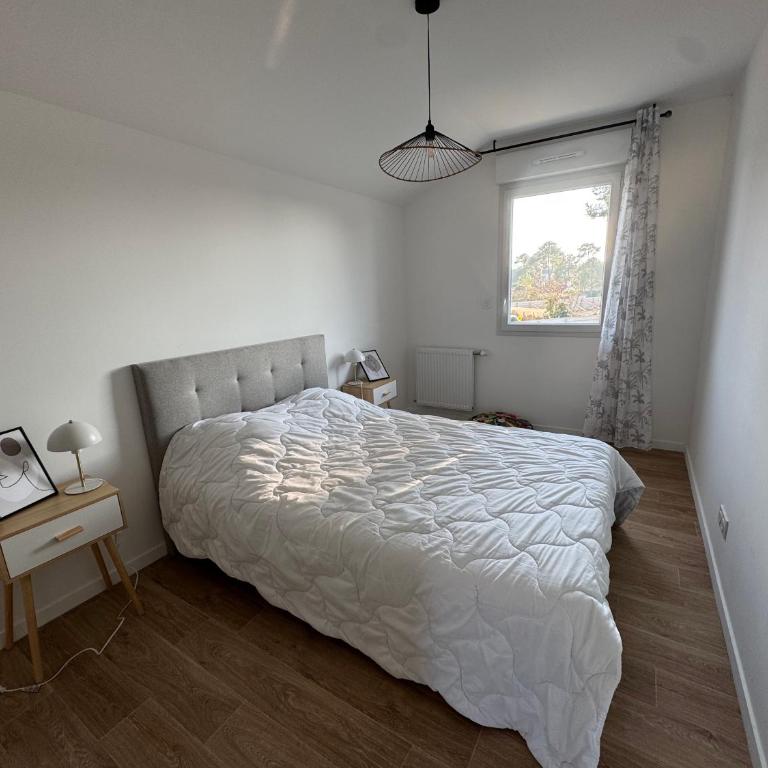 Casa Nomana 4 chambres - Ferienhaus mit 4 Zimmern - 16