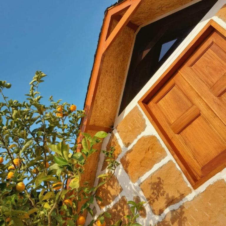 Glamping Mirador Barichara - Chalet - 16