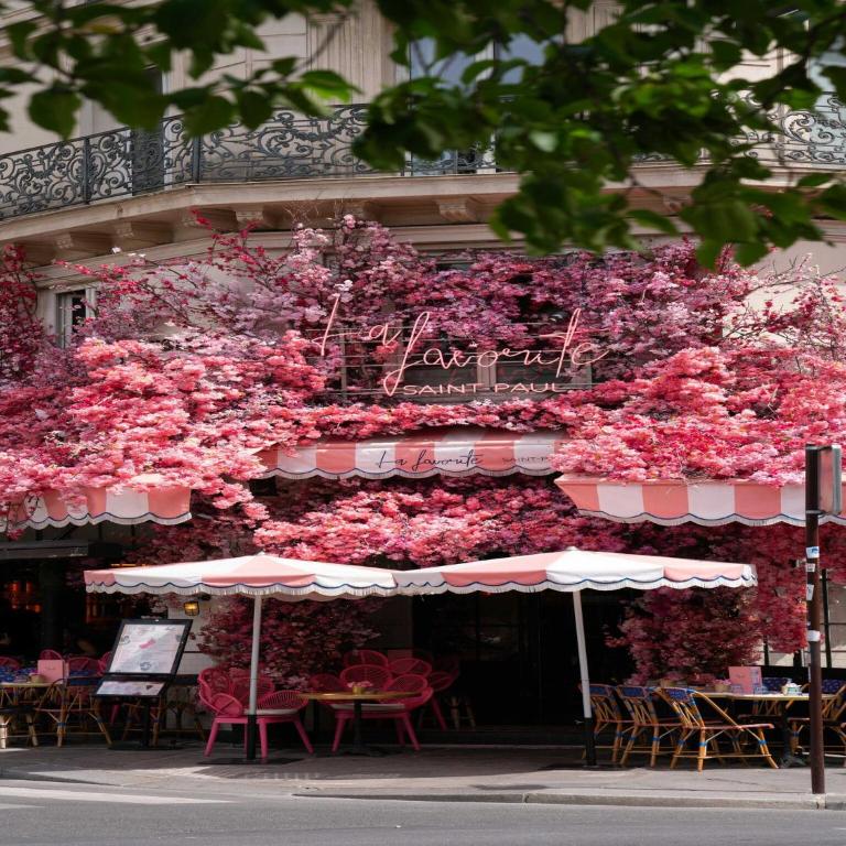 Elegant apt - 2P - near Le Marais - Apartment - 14