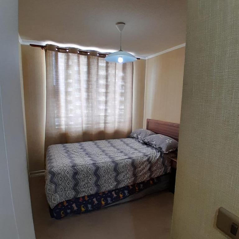Viña Plaza 1 - Two-Bedroom Apartment - 5