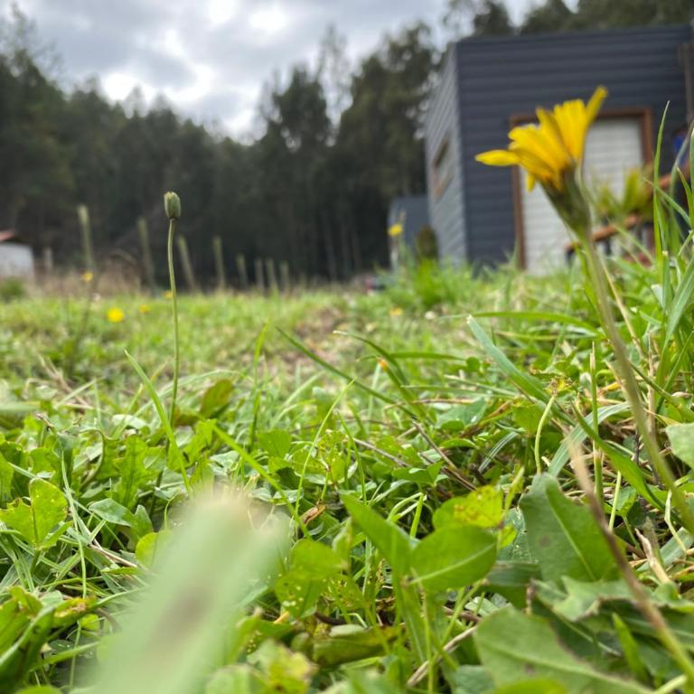 Cabañas del Valle Pudá - Casa de 2 dormitorios - 16